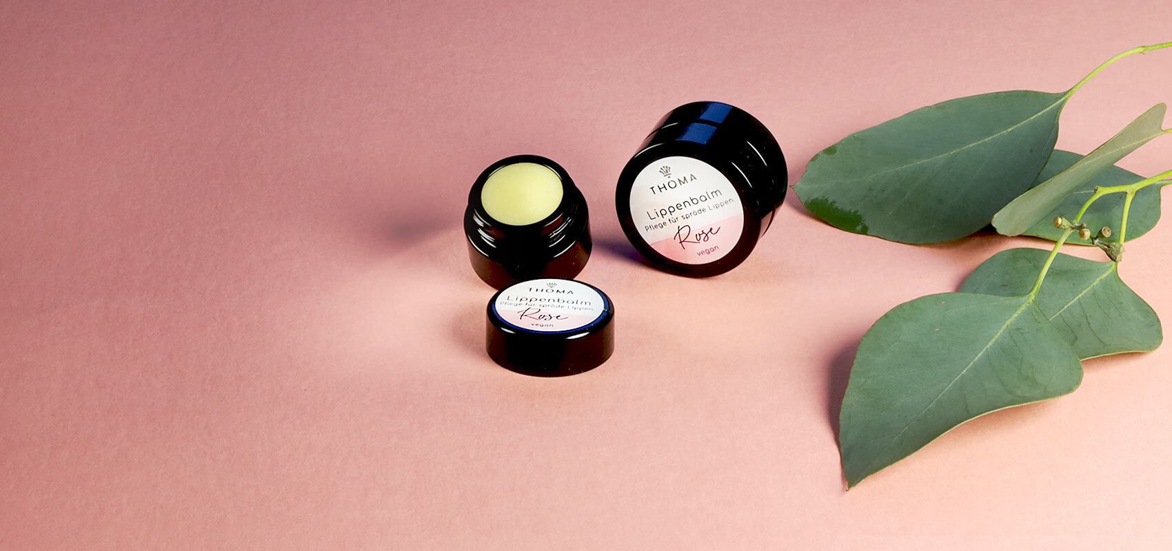 THOMA Lippenbalsam „Rose“ in schwarzen Dosen, auf rosa Untergrund arrangiert. Eine geöffnete Dose zeigt die cremige Textur des Balsams. Dekorativ ergänzt mit frischen Eukalyptusblättern.